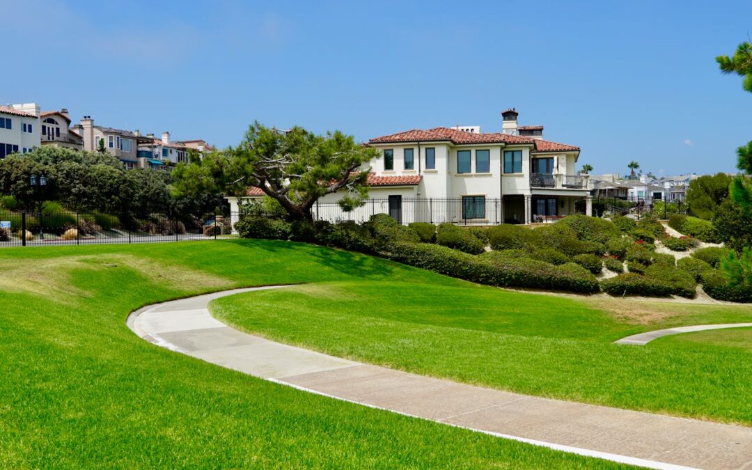 Boosting Your Home’s Value with a Beautiful Green Lawn