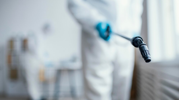 bug spray exterminating for bugs
