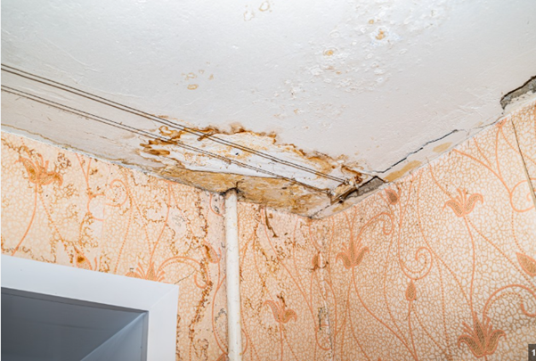 Common Causes of Water Damage in Homes and how to fix it