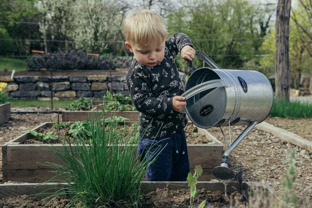 The Benefits of Hydroponic Gardening