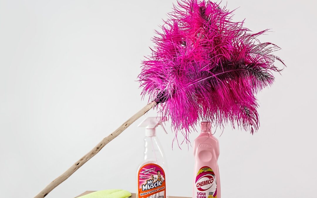 10 Things to Look for When Hiring Professional Cleaners