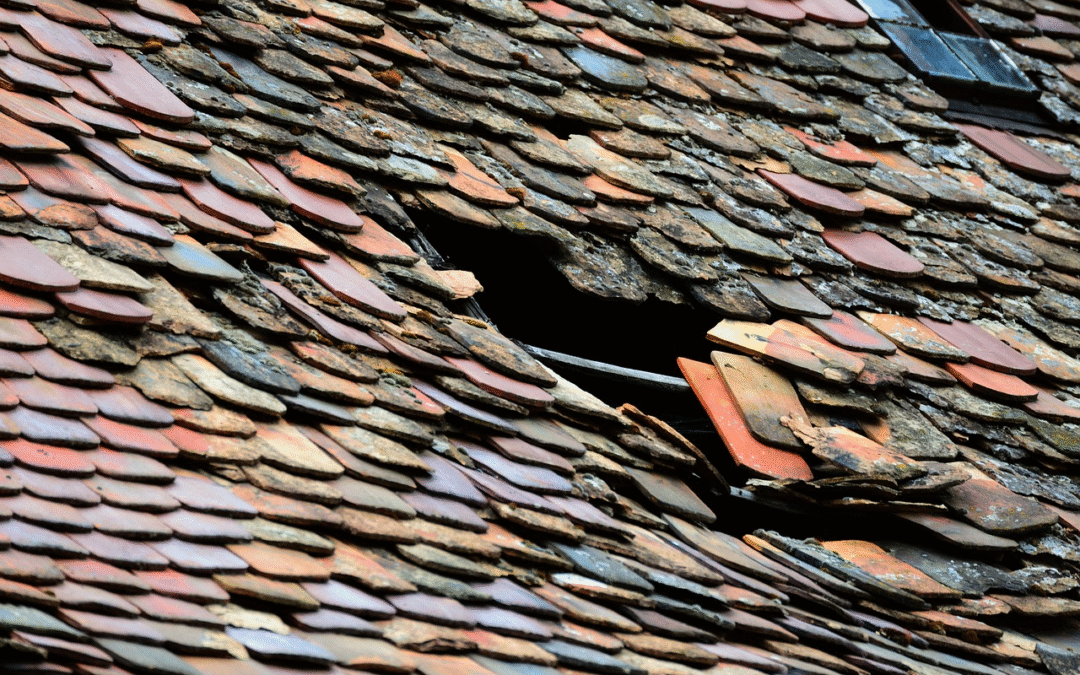 6 Reasons to Hire a Roof Contractor Instead of DIY