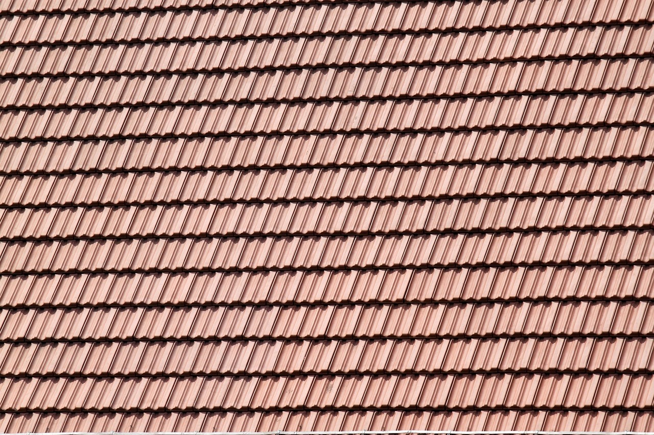 close up image of roof shingles