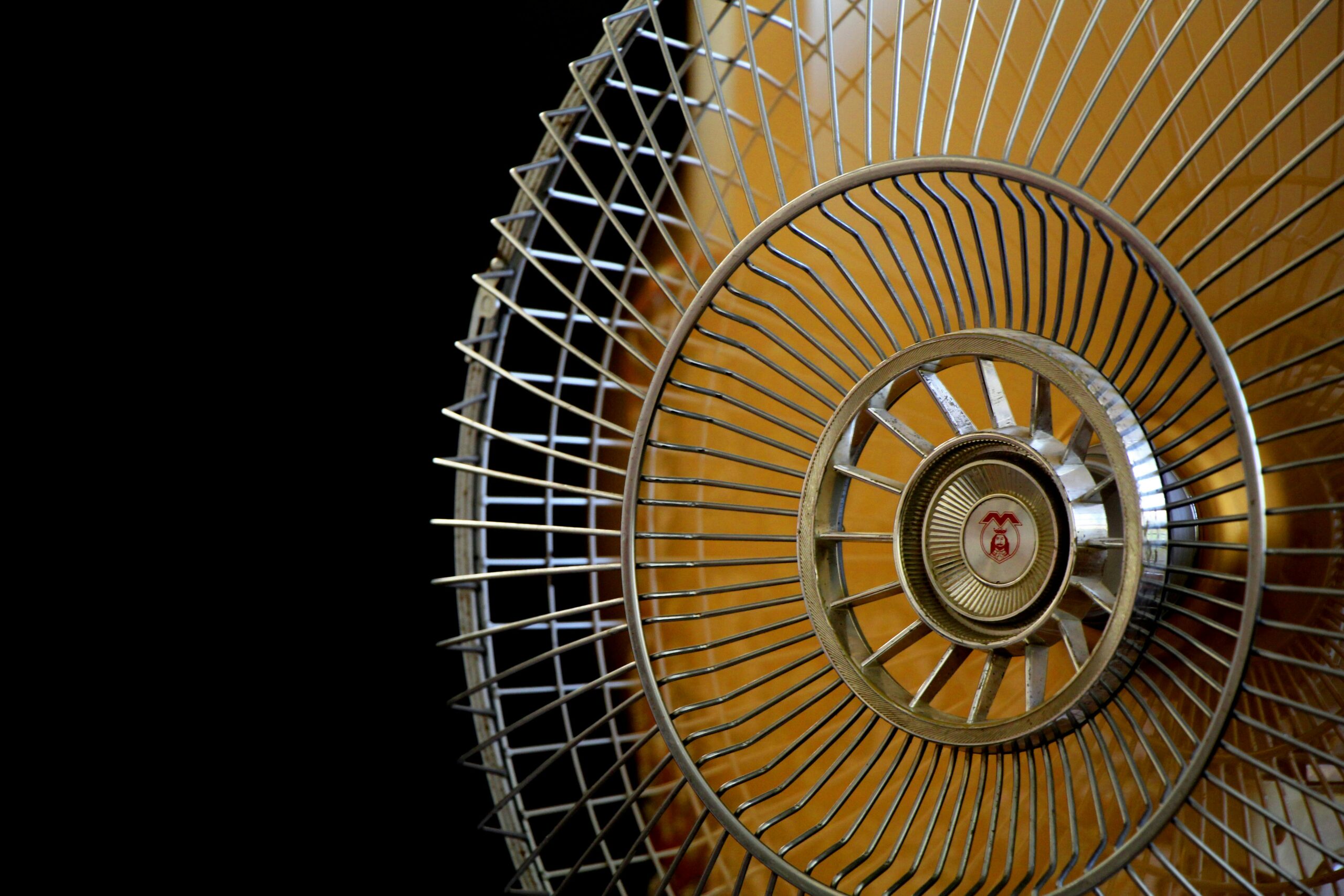 pexels-alireza-kaviani-535828-1374448 Fan