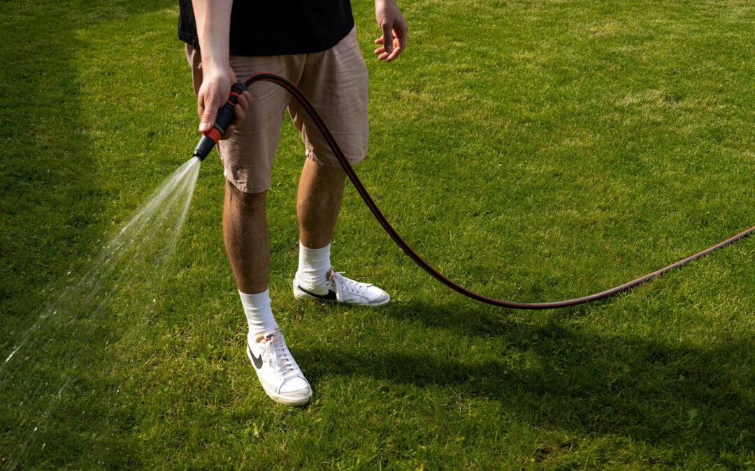 Best Watering Practices for Your Hydroseeded Lawn