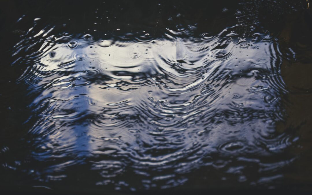 How Do You Prevent Mold After Sustaining Water Damage