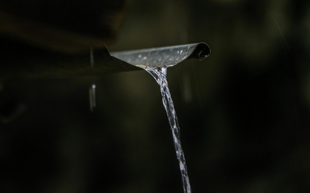 Protecting Your Home: The Role of Gutters in Roof Maintenance