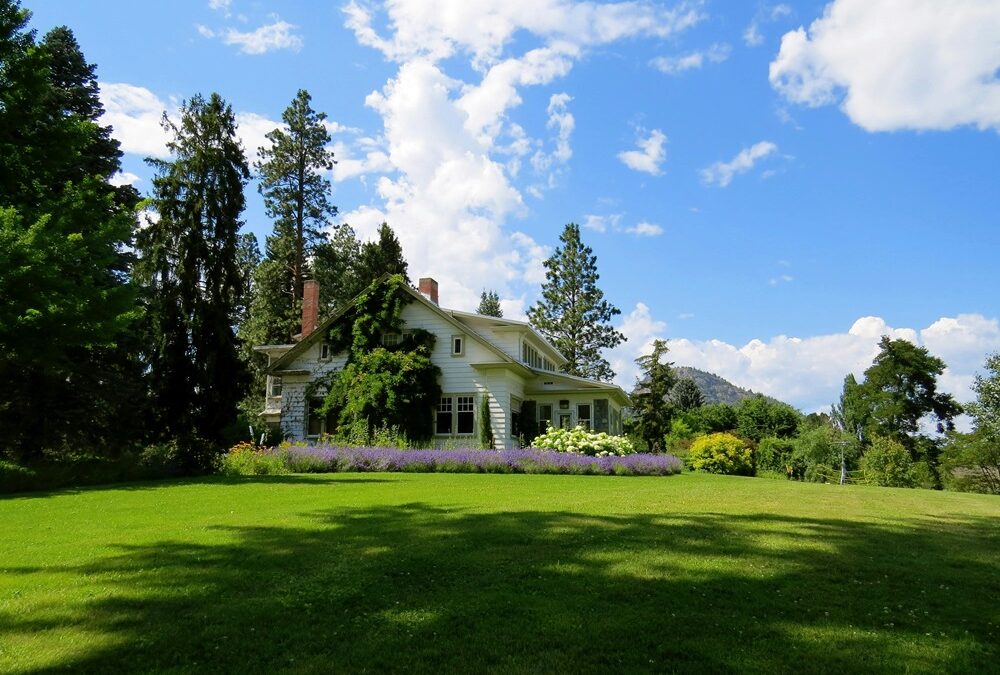 Transforming Spaces, Nurturing Lives: The Heart and Art of Landscaping