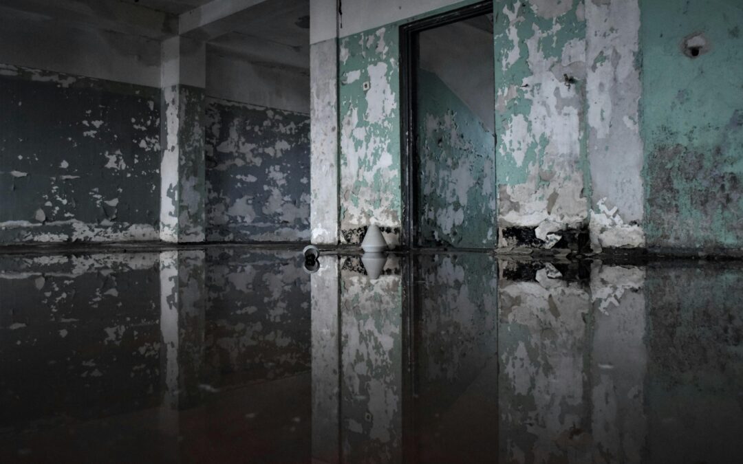 8 Steps to Take After a Water Damage Emergency