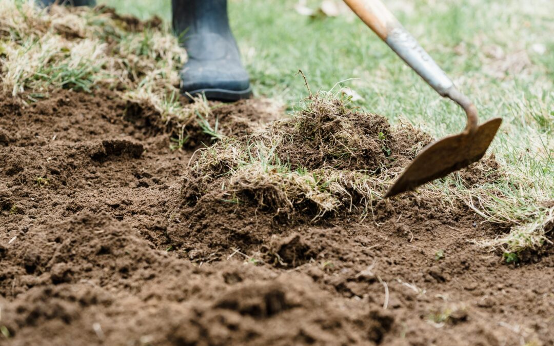 How to Choose Spare Parts for Garden Equipment Repairs