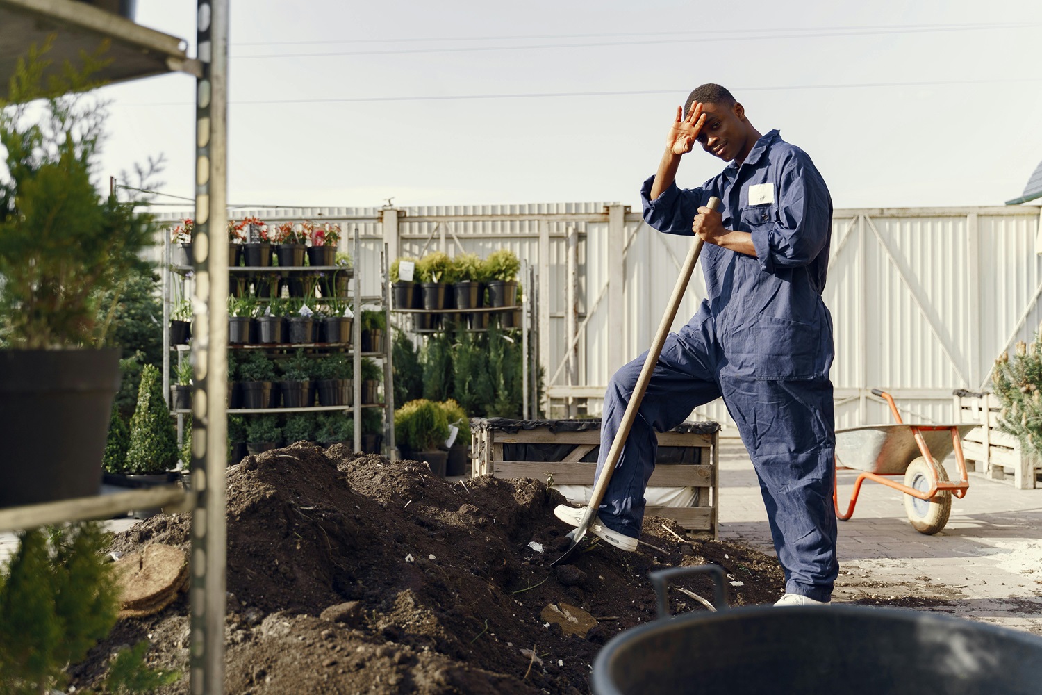 pexels-gustavo-fring-4920282