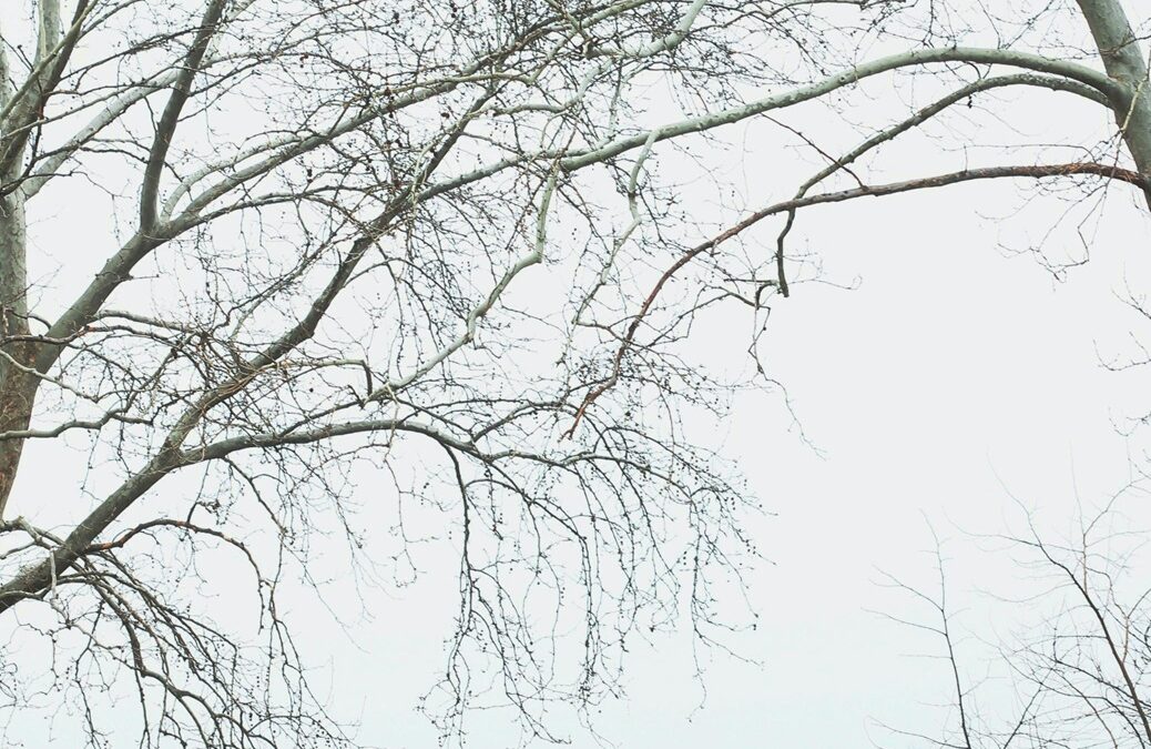 The Dangers of Putting Off Roof Repairs; What You Should Be Aware Of