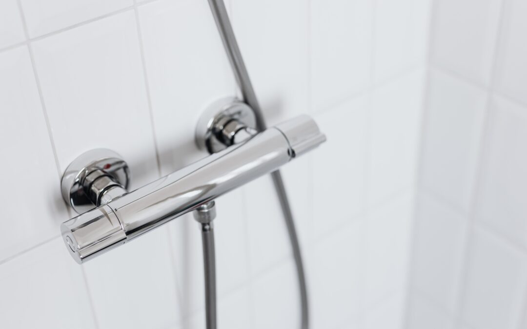 Plumbing Perfection: Navigating the World of Home Maintenance