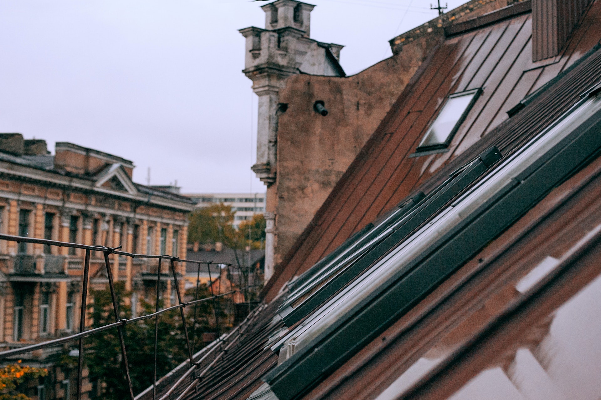 pexels-maria-orlova-4946993
