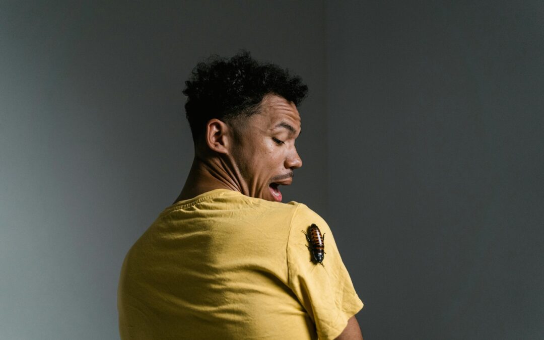 How Exterminators Play a Key Role in Preventing Recurring Pest Invasions?