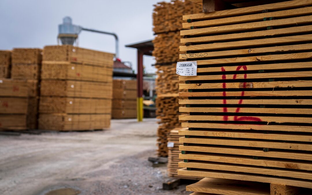 Finding the Best Plywood Suppliers in Toronto