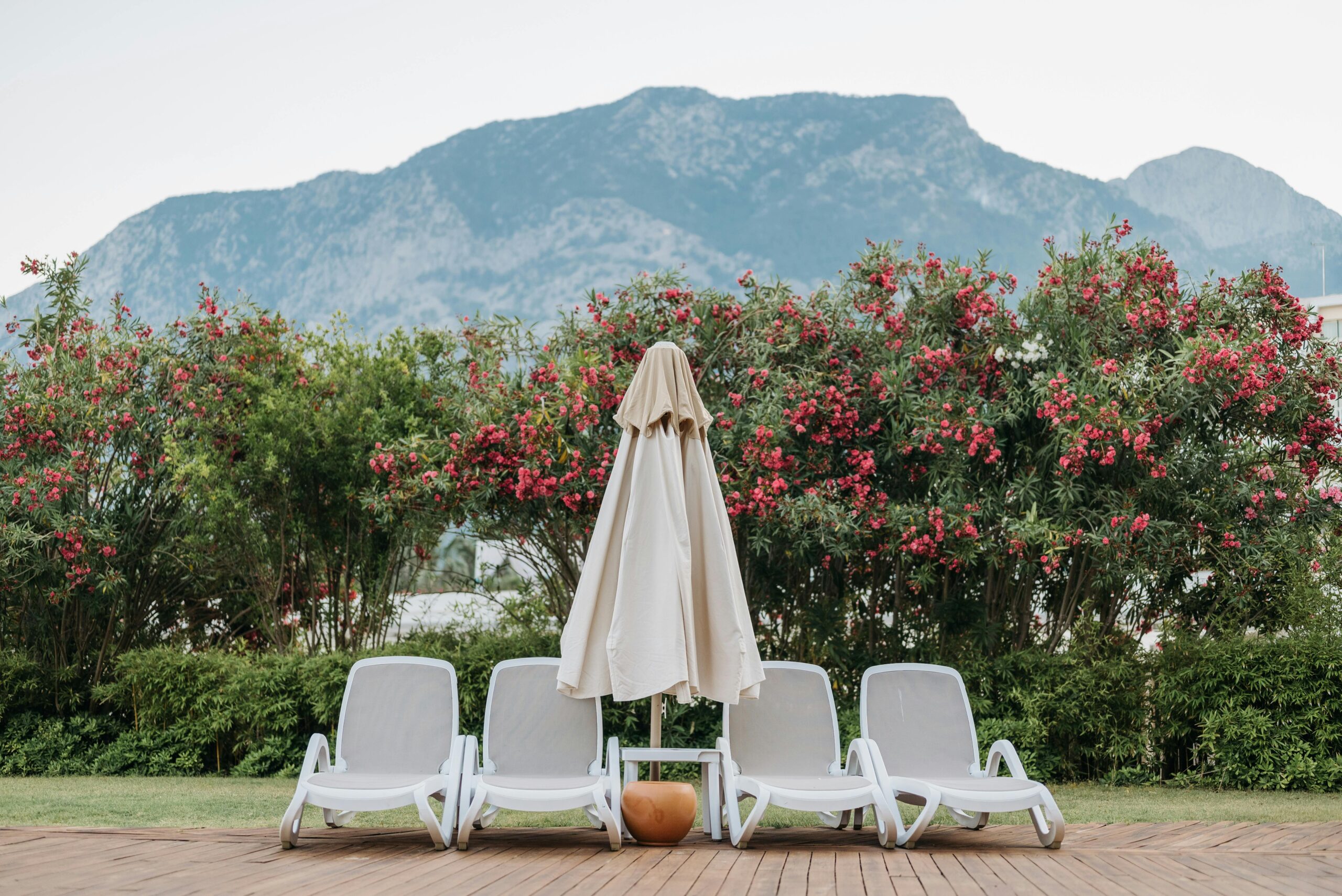 pexels-pavel-danilyuk-9119728