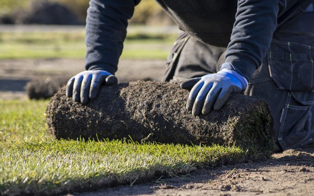 Your Comprehensive Guide To Choosing Instant Turf