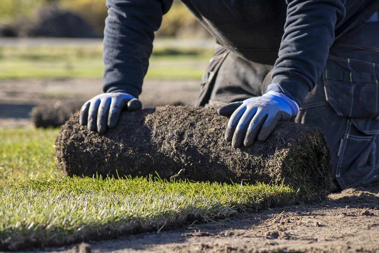 roll of turf