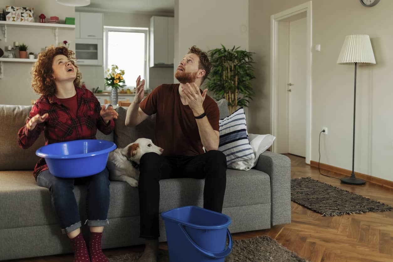 Desperate Couple Because Roof Leaking