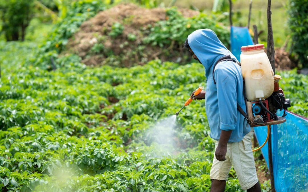 Effective Pest Control Strategies for a Healthy Home