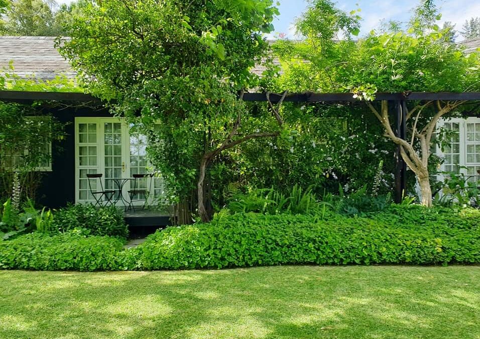 Eco-Edging: Sustainable Lawn Edging Solutions for the Modern Garden