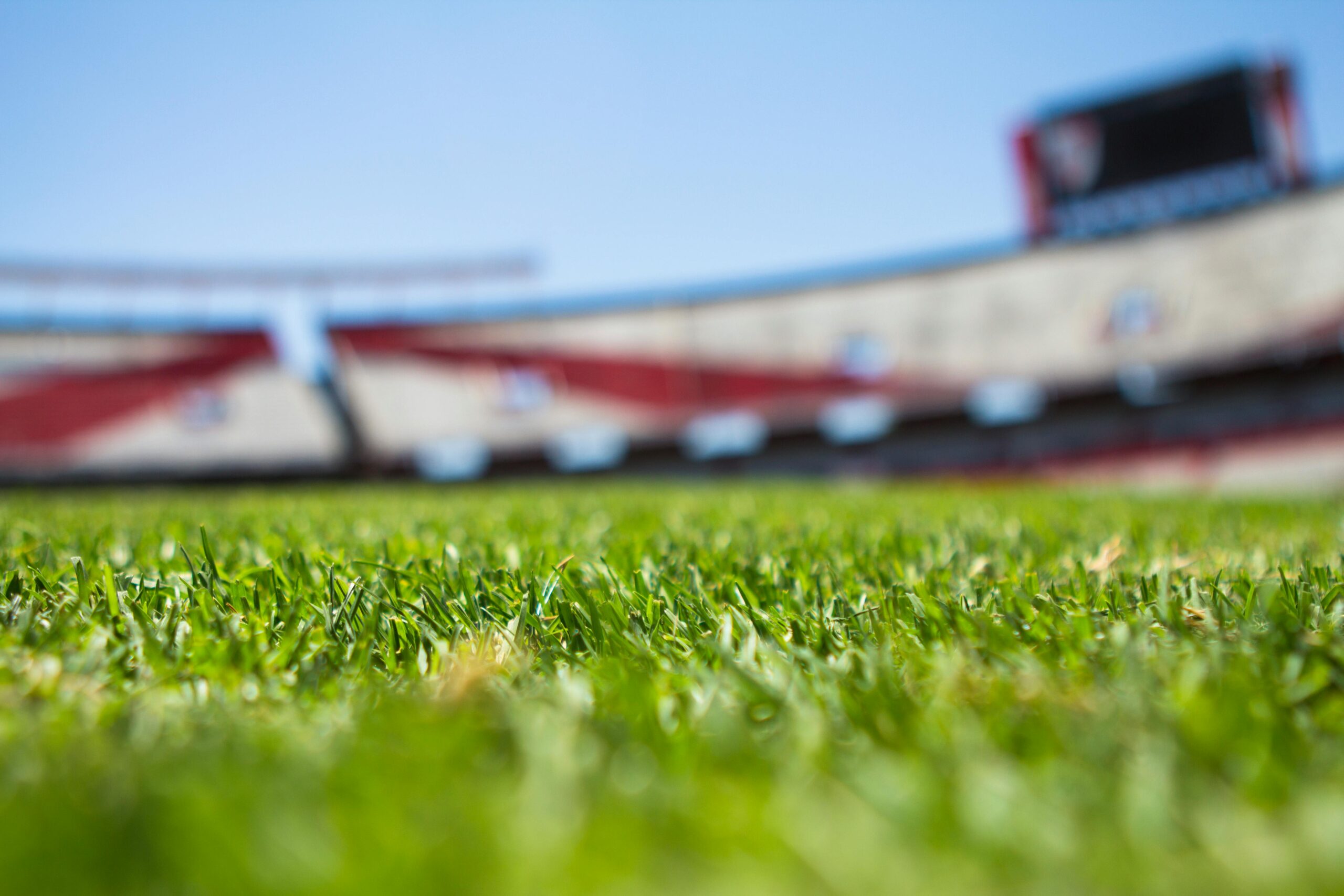 turf-for-schools tight focus image of turf with a large structure in the background which is out of focus