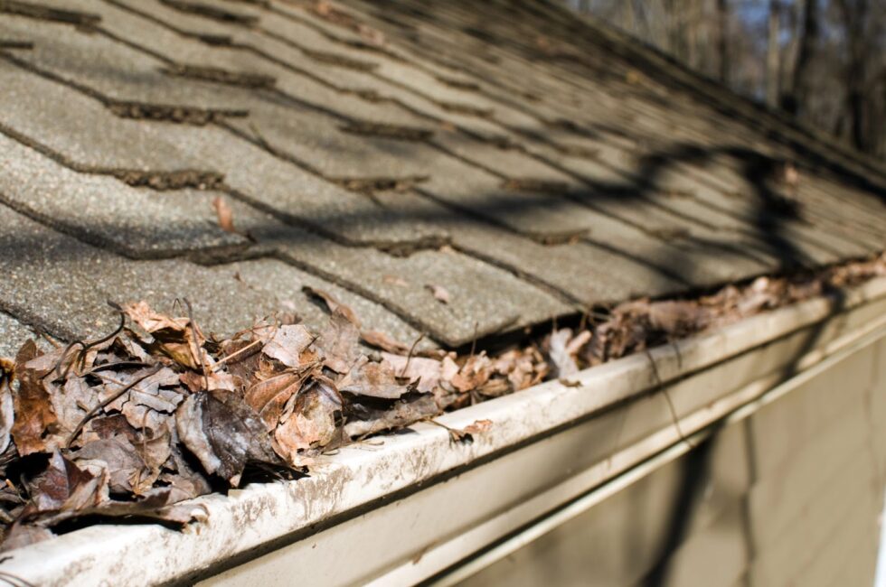 Preventing Roof and Foundation Damage through Gutter Upkeep