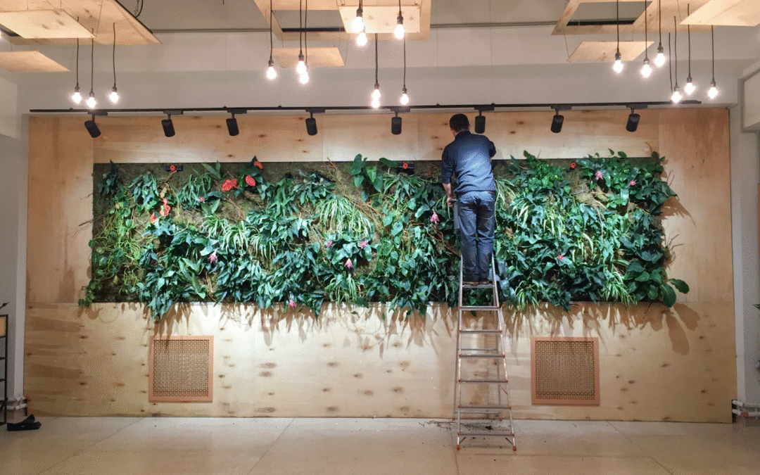 The Safest Way to Use Ladders for Holiday and Home Projects