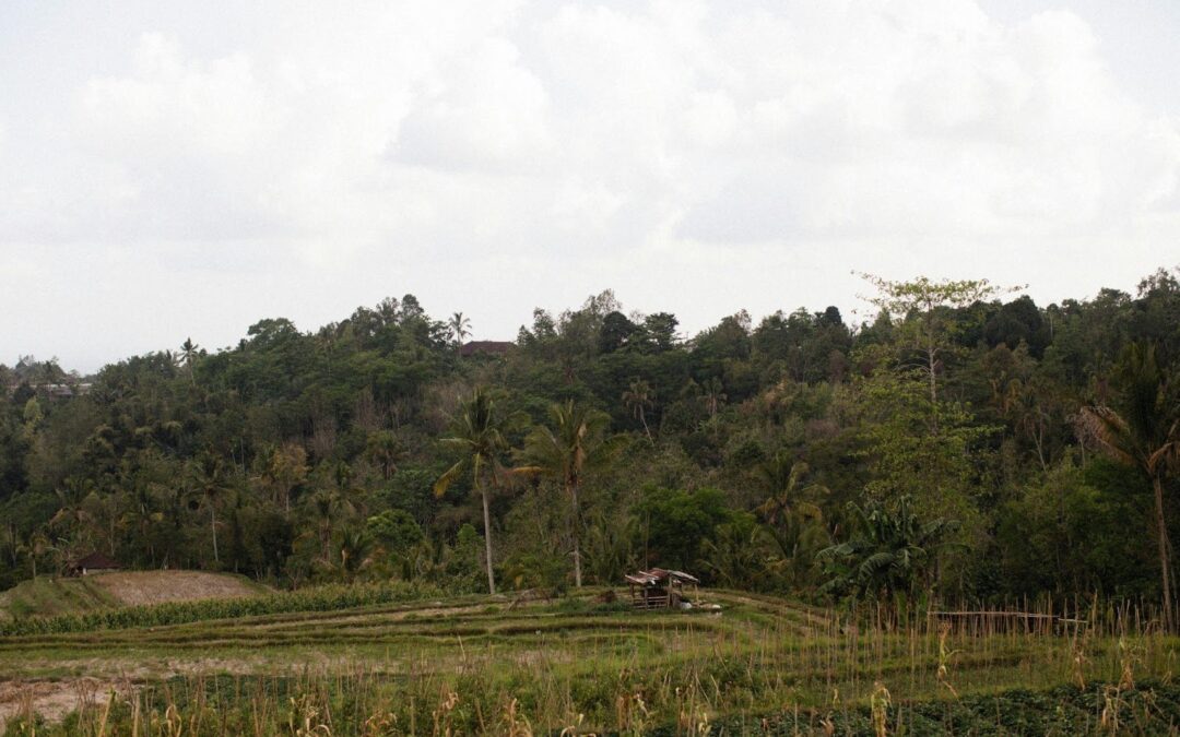 How Land Evaluations Protect Homeowners From Costly Disputes