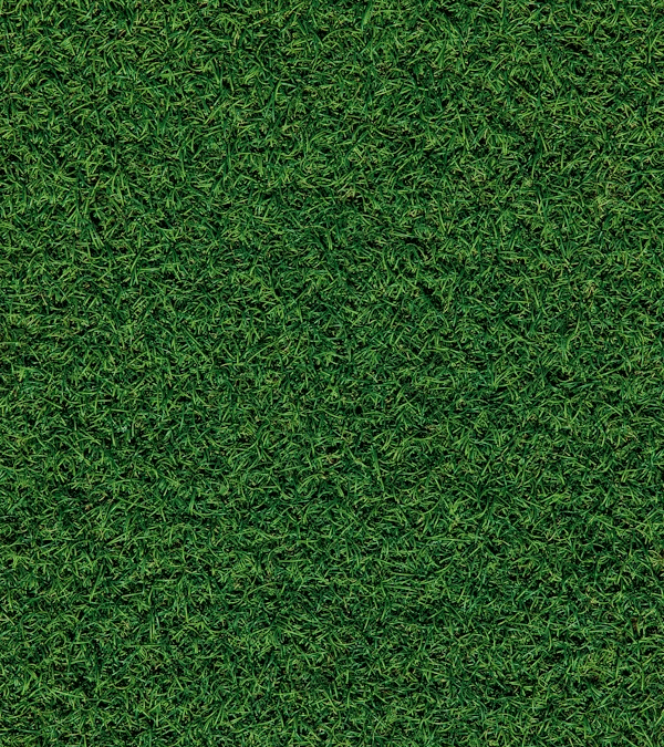Artificial Grass Vs Artificial Turf: A Homeowner’s Buyer’s Guide For Durability, Drainage, And Maintenance