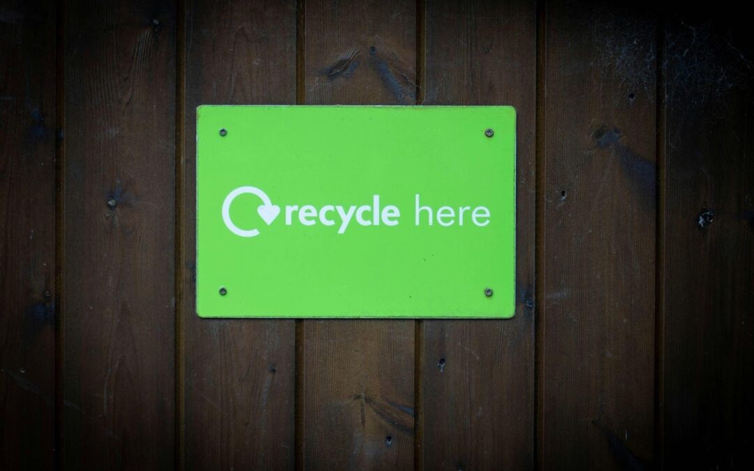 The Rise of Green Renovations: What Homeowners Are Prioritizing in 2025