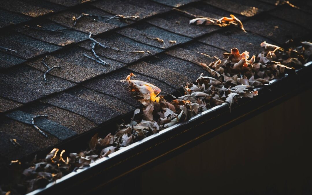 The Surprising Impact of Clean Siding and Gutters on Home Longevity