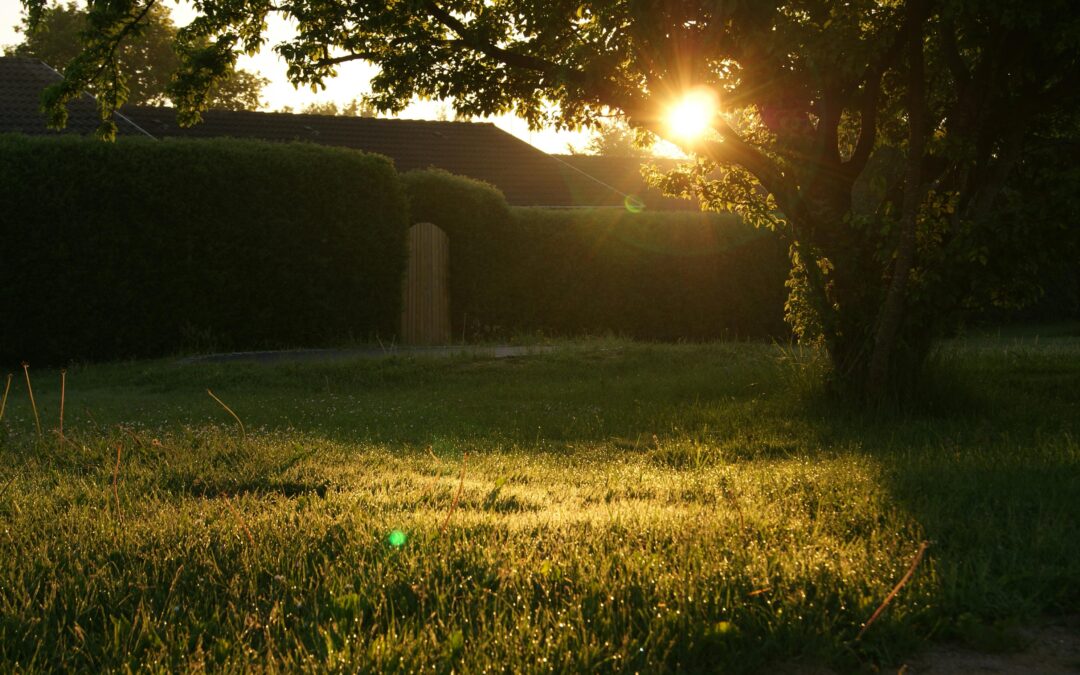 How Backyard Layouts Influence Home Value in Warmer Climates