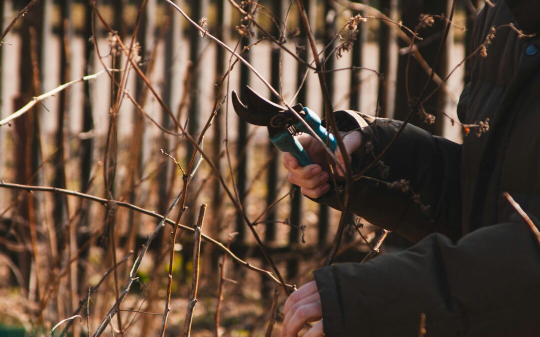 What First-Time Homeowners Often Underestimate About Seasonal Home Maintenance.