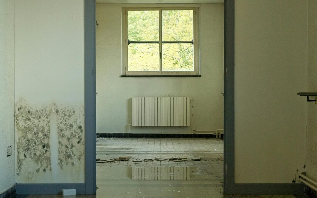 Moisture Control and Mold Prevention: How Spray Foam Protects Your Property