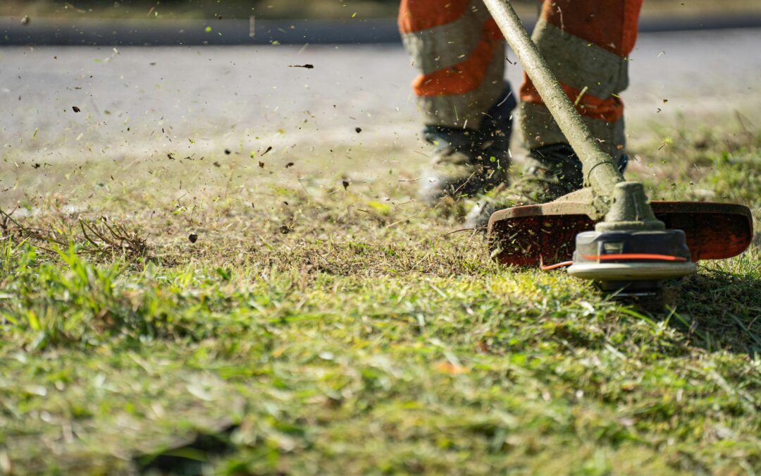 Lawn and Landscape Services for Beautiful, Functional Outdoor Spaces