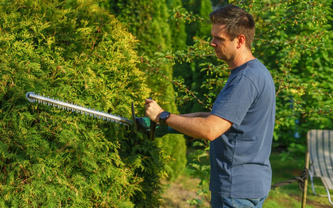 Tree Trimming vs Tree Pruning: Are You Using the Right One?