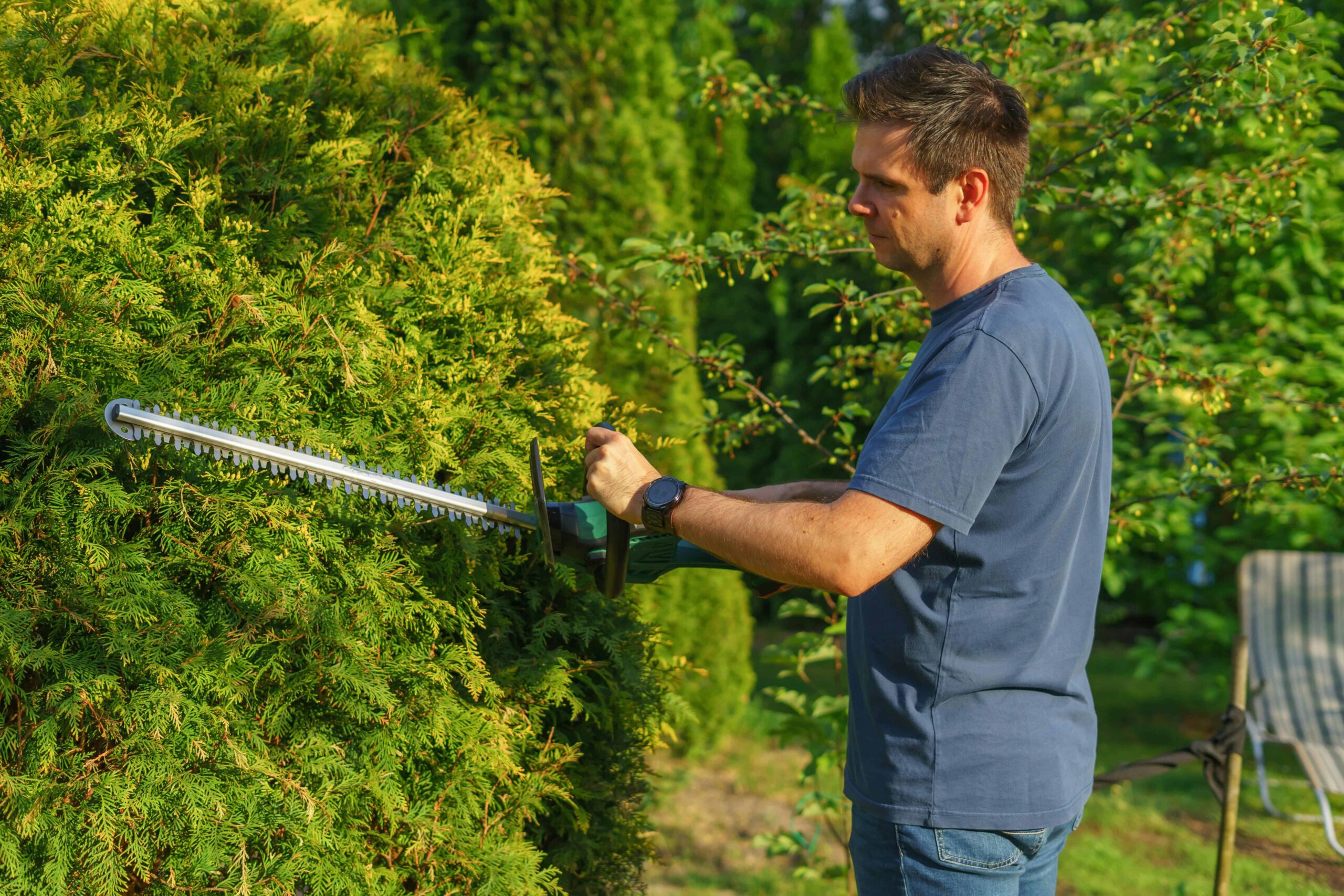 Tree Trimming vs Tree Pruning: Are You Using the Right One?