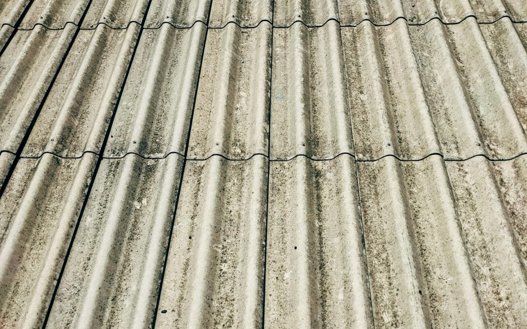 Why Your Roof Looks Darker After Winter and What It Actually Means for Your Home This Spring