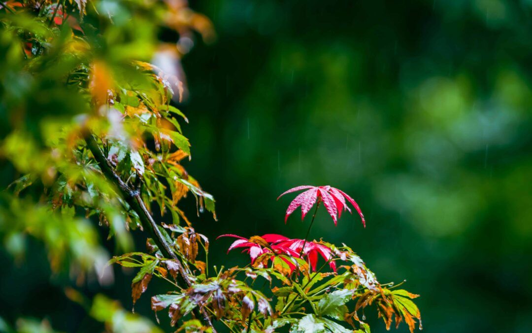 How Spring Rain Quietly Wears Down Your Driveway Over Time