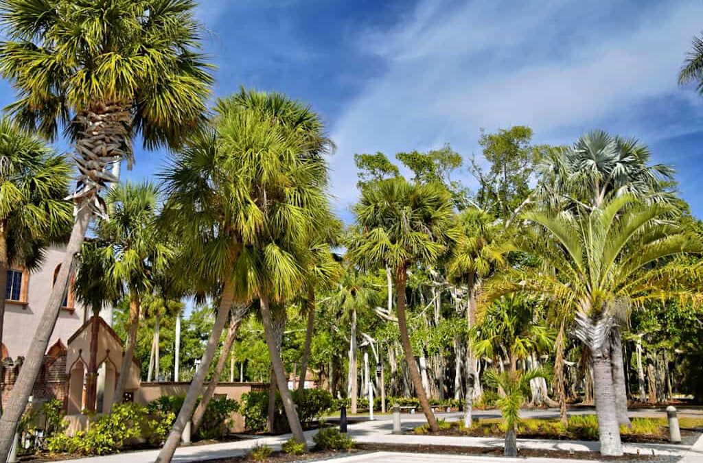 Resilience by Design: The Strategic Advantage of Florida Native Trees