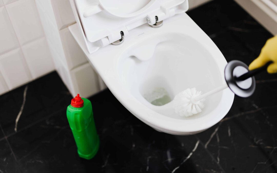 Toilet Repair: Easy Guide to Fix Common Toilet Problems