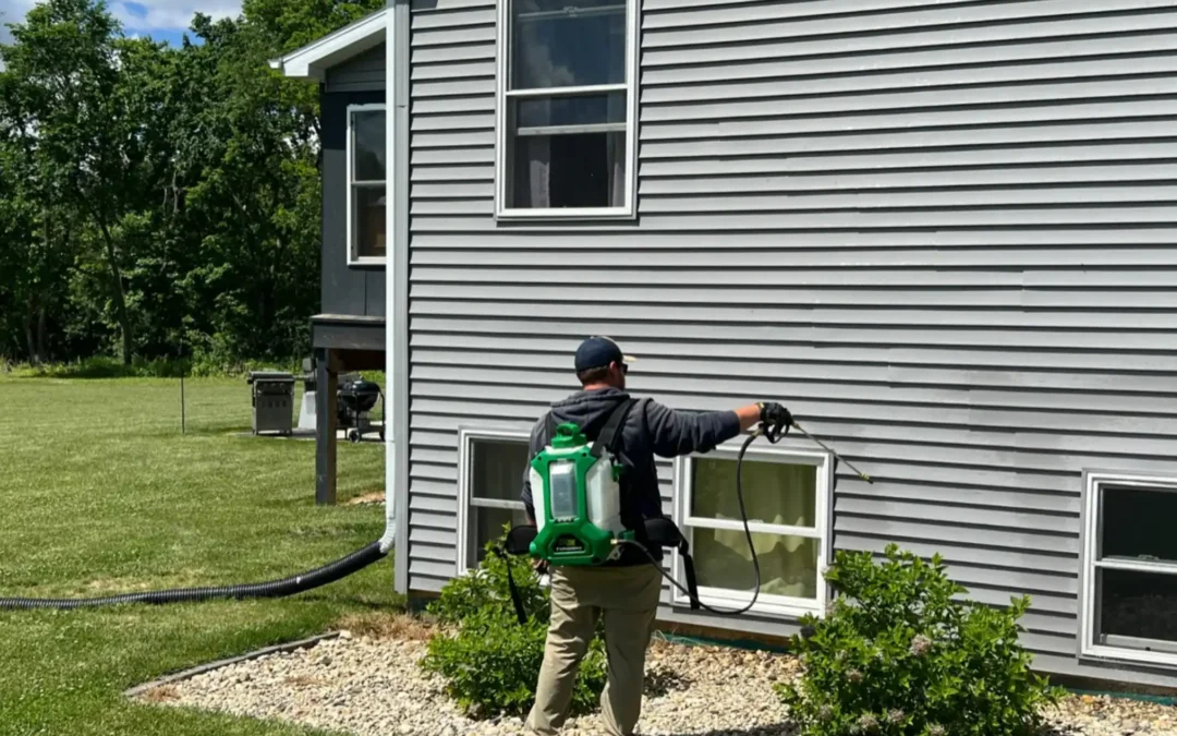 How to Choose a Pest Control Professional in Fort Worth