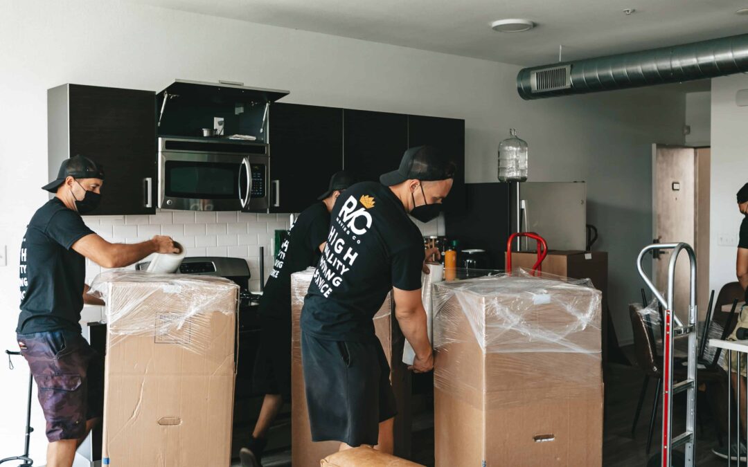 Professional Moving Services: A Complete Guide to Planning a More Efficient Relocation