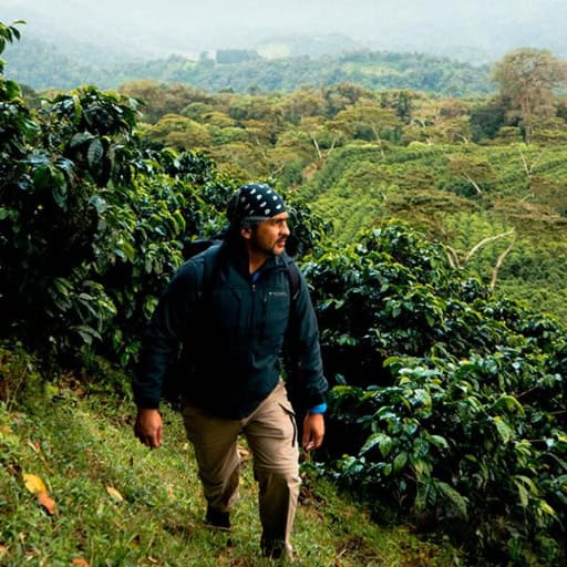 Buying Property in Boquete, Panama: What Foreign Buyers Should Know