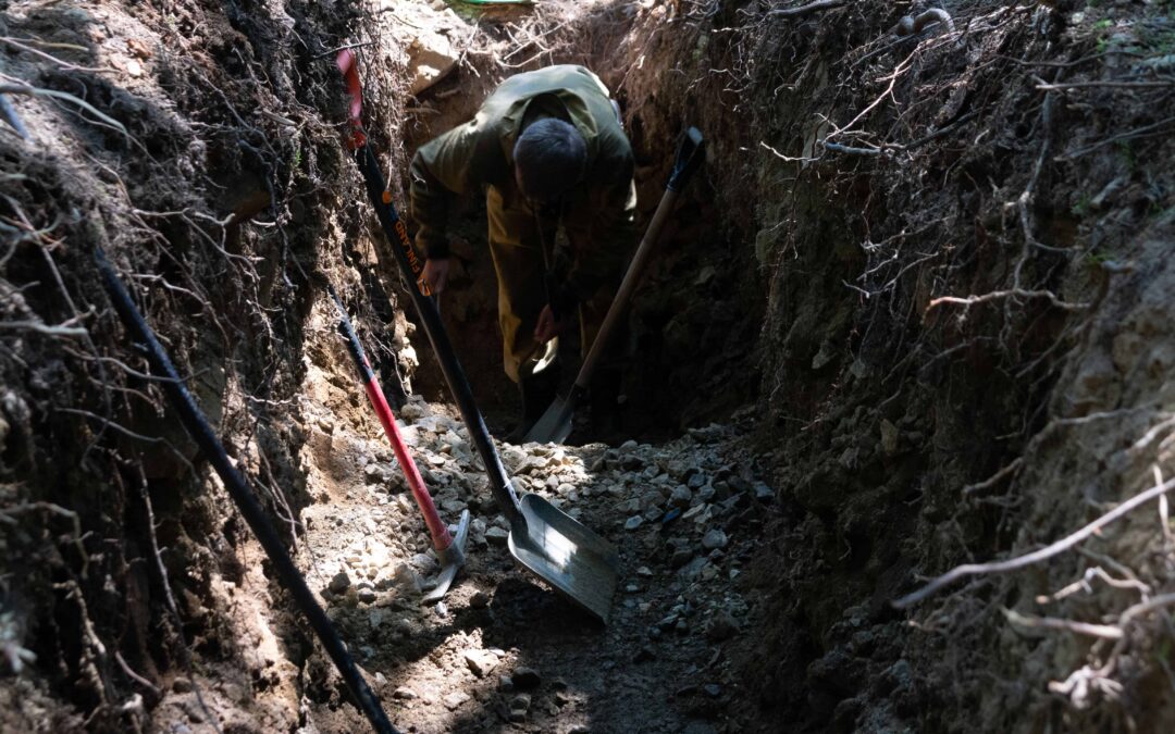 What Happens During a Drain Field Repair? A Step-by-Step Walkthrough for Homeowners